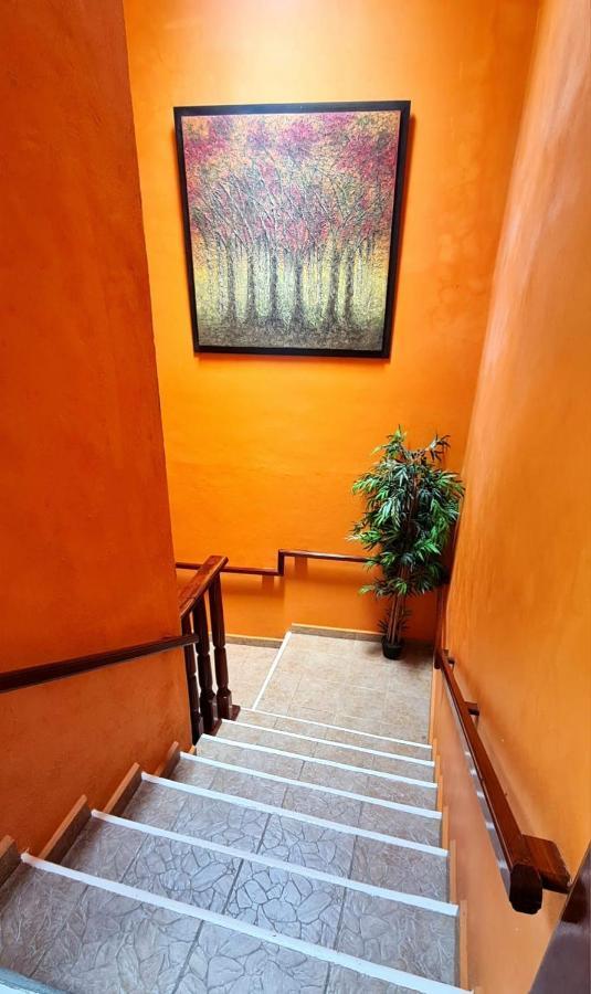 Magico Hotel 3*